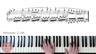 Czerny Op599 No41徹爾尼100首練習曲 第41首Sheet musicPiano Tutorial [upl. by Rodge]