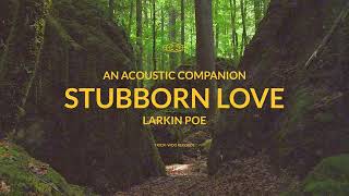 Larkin Poe  Stubborn Love Acoustic Official Visualizer [upl. by Ness]