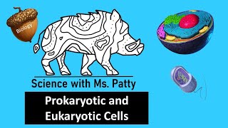 Prokaryotic and Eukaryotic Cells  Biology [upl. by Benni]