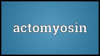 Actomyosin Meaning [upl. by Aiel]