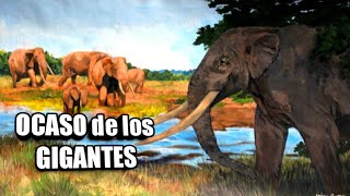 🐘 ¿Qué pasó con los PROBOSCÍDEOS gigantes Mamuts Mastodontes Gonfoterios [upl. by Violeta]