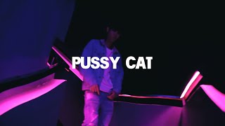 TS YUENDOPE X JSLIMEZ  PUSSY CAT OFFICIAL VIDEO [upl. by Hogarth451]