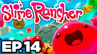 🐯 SABER SLIMES OGDENS RETREAT KOOKADOBA MIRACLE MIX  Slime Rancher Ep14 Gameplay Lets Play [upl. by Anniken35]