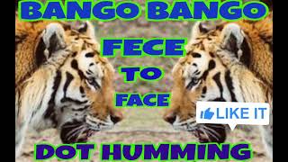 BANGO BANGO  DOT HUMMING HARD BASS  COMMOTION 2024 [upl. by Hauge]