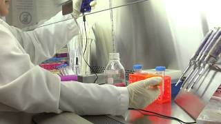 Cell Culture Basics 04 Adding and removing sterile liquid from a container [upl. by Chelsie]