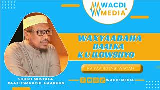 Waxyaabaha Daalka ku Ilowsiiya  Sh Mustafe Xaaji Ismaaciil [upl. by Gaal]