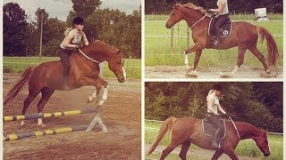 Reiten mit Halsring  Outtakes [upl. by Ennaesor]