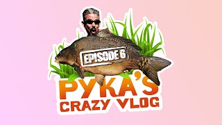 Pykas Crazy Vlog 6  Familien ROADTRIP 🚐 [upl. by Tarr]