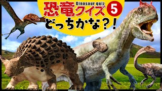 【恐竜クイズ★どっちかな？！⑤】名前を聞いてどっちの恐竜か当ててみよう！トリケラトプスアロサウルスケラトサウルスアンキロサウルス [upl. by Roter704]