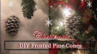 Christmas DIY Frosted Pine Cones  Epsom Salt amp Glitter Faux Snow DIY Flocking [upl. by Howzell236]