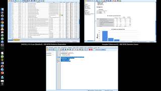 009 Häufigkeitsanalyse für nominale Variablen in SPSS [upl. by Louanna]