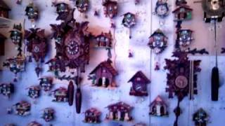 1001 Cuckoo Clocks Video [upl. by Aliber]