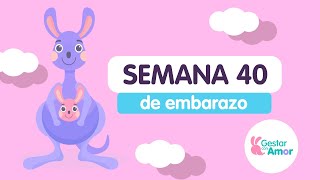 Semana 40 de embarazo [upl. by Viv]