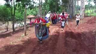 Folia de Reis Irmãos Adolfo no Sitio em Cajuru [upl. by Dugaid492]