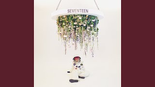 Seventeen [upl. by Mandie629]