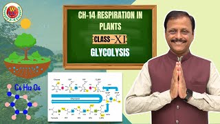 Glycolysis in Detail  Ch14 Respiration in Plants  Class 11  CBSE  NEET  Bio by Gulab Sir [upl. by Ressan]