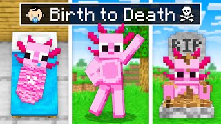 BIRTH To DEATH Of AXY In Minecraft [upl. by Suiramaj]