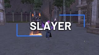 Rappelz Excellent  Guide Slayer [upl. by Ahselaf]