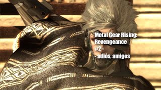 Metal Gear Rising Revengeance  adiós amigos  2 [upl. by Zzahc]