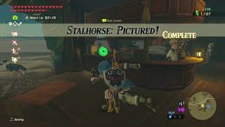 Zelda Breath of the Wild  Stalhorse Pictured Side Quest  Hebra Tower Region [upl. by Rachaba]