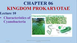 Light reaction of cyanobacteria [upl. by Xenos]