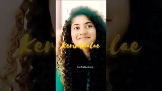 Hey Rangule🥰 lovesong amaran heyrangule lyricswhatsappstatus saipallavi [upl. by Ahsaret]