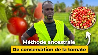 Conserve ta tomate mieux sans frigo [upl. by Acimaj]