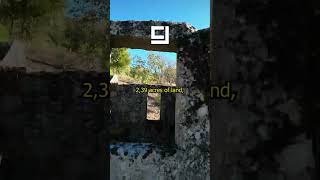 Will you miss this opportunity  N16 farm R006 homestead farmforsale movetoportugal dronefpv [upl. by Ahsatel]