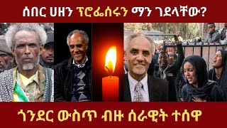 zemedkun bekele Fano gonder And Prf Beyene Petros [upl. by Gnud]