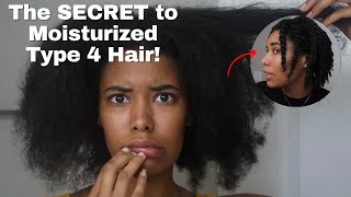 The Truth About Moisturizing Type 4 Natural Hair [upl. by Ashbaugh]