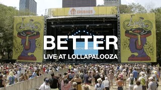 Michigander  Better Live at Lollapalooza [upl. by Carmina]