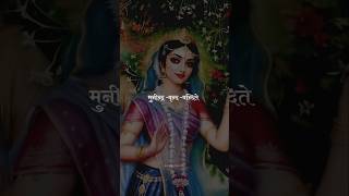 Shri Radha Kripa Kataksh  Radhe Radhe  Krishna Premi  shorts youtubeshorts radharani radha [upl. by Adala]