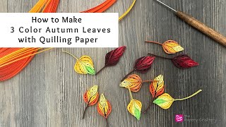 How to Make 3 Color Autumn Leaves with Quilling Paper  Quilling for Beginners [upl. by Yolanda]