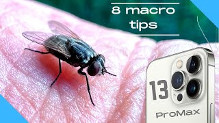 8 tips for macro photography with iphone 13 in 2022 [upl. by Ventre]