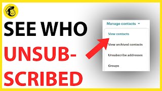 How to See Who Unsubscribed on Mailchimp QUICK GUIDE [upl. by Zerk332]