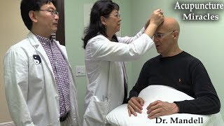 The Miracles of AcupunctureHow and Why Acupuncture Works Demonstration  Dr Alan Mandell DC [upl. by Anirbed466]