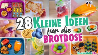 28 kleine Ideen für die Brotdose 🥯🫐⚡️ Einfaches Frühstück für Schule amp Kindergarten  mamiblock [upl. by Eerdua]