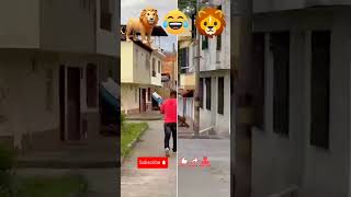 Fake lion prank prank lion fake challenge scareprank scarecam scare funny foryou lionlover [upl. by Andromeda]