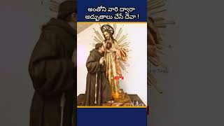 St Anthony Prayer ytshorts tuesday prayer stanthony saints voiceofsaintsతెలుగు history [upl. by Assirol605]