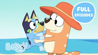 Blueys Sunny Adventure Full Episodes ☀️  Featuring The Pool The Beach and More  Bluey [upl. by Diaz]