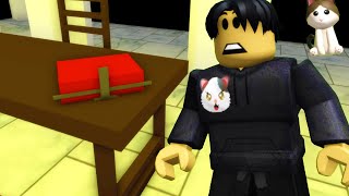 Roblox BrookHaven 🏡RP SECRETS BICYCLE UPDATE Scary Secrets [upl. by Tami941]