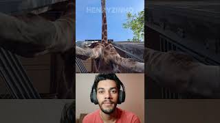 ESSAS GIRAFAS SÃO INCRÍVEIS🦒🧐 react [upl. by Bigler937]