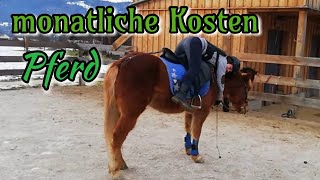 Was kostet ein Pferd im eigenen Stall  monatliche Kosten für ein Pferd  Berechnung für Huzule [upl. by Kellen288]