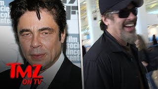 Benicio Del Toro Jokes About His Short Term Memory Loss  TMZ TV [upl. by Fleisher]