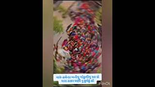 Tulsi vivah trending gujarati kids ytshorts shortvideo shortfeed ytviral ytshorts social [upl. by Reinold362]