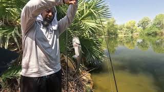 Arizona fishing in 116 Degree temps [upl. by Kaya]