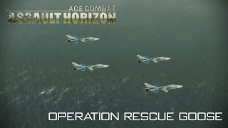 Ace Combat Assault Horizon Mission 9  Hostile Fleet  One Day One Mission [upl. by Nemraciram]