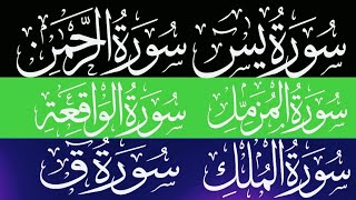 surah Yaseen surah Rahman surah Muzammil surah Waqiah surah mulak surah Qaf Hafiz Abu Bakar [upl. by Ody23]