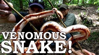 Catch and Cook Clean DANGEROUS SNAKE on a STICK Ep02  100 WILD Food SURVIVAL Challenge [upl. by Anairotciv]