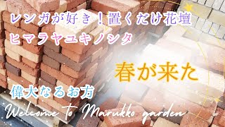 【ガーデニング】モルタル不要♬固めない♬置くだけレンガの花壇DIY🌸春のお庭の風景🍃 [upl. by June]